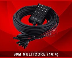 Multicore Snake
